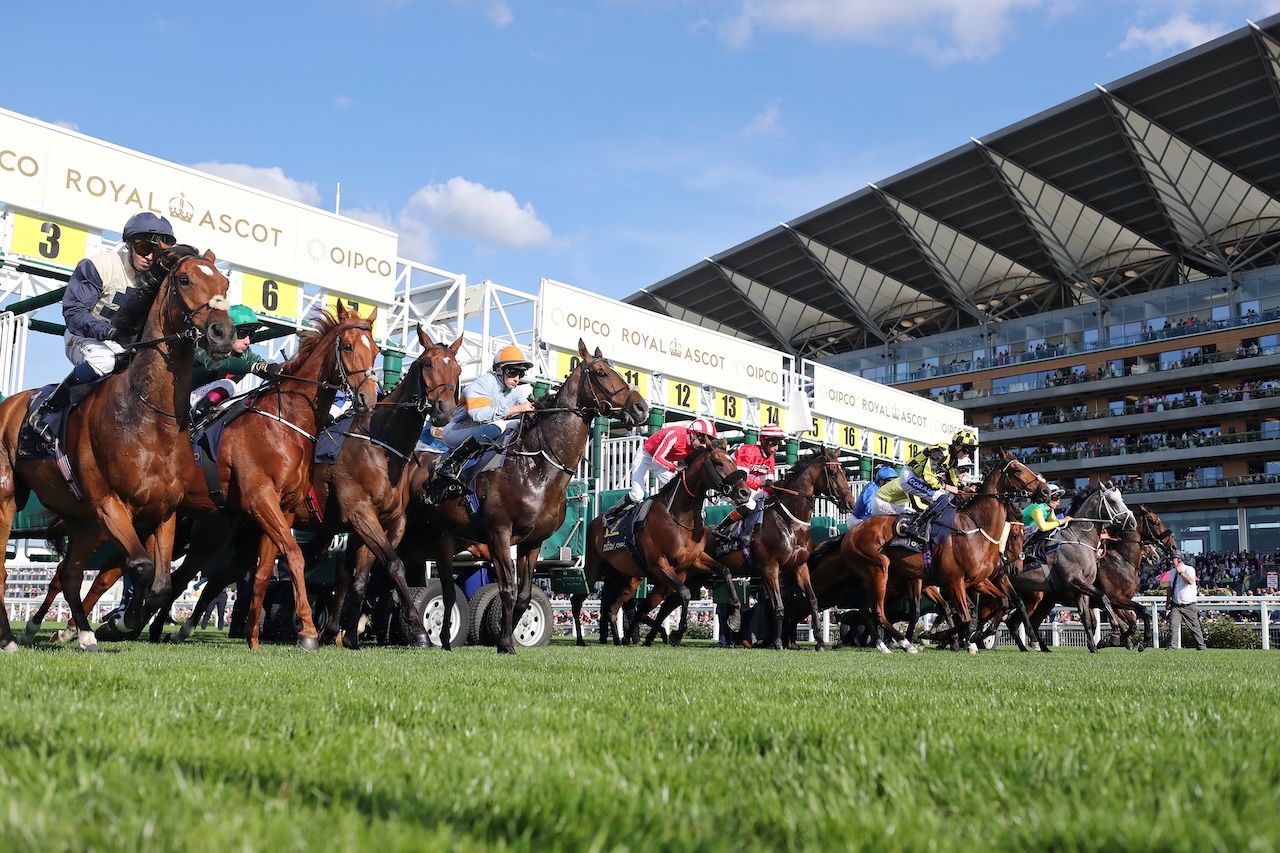 2025 Royal Ascot Scenic from day one of racing. 