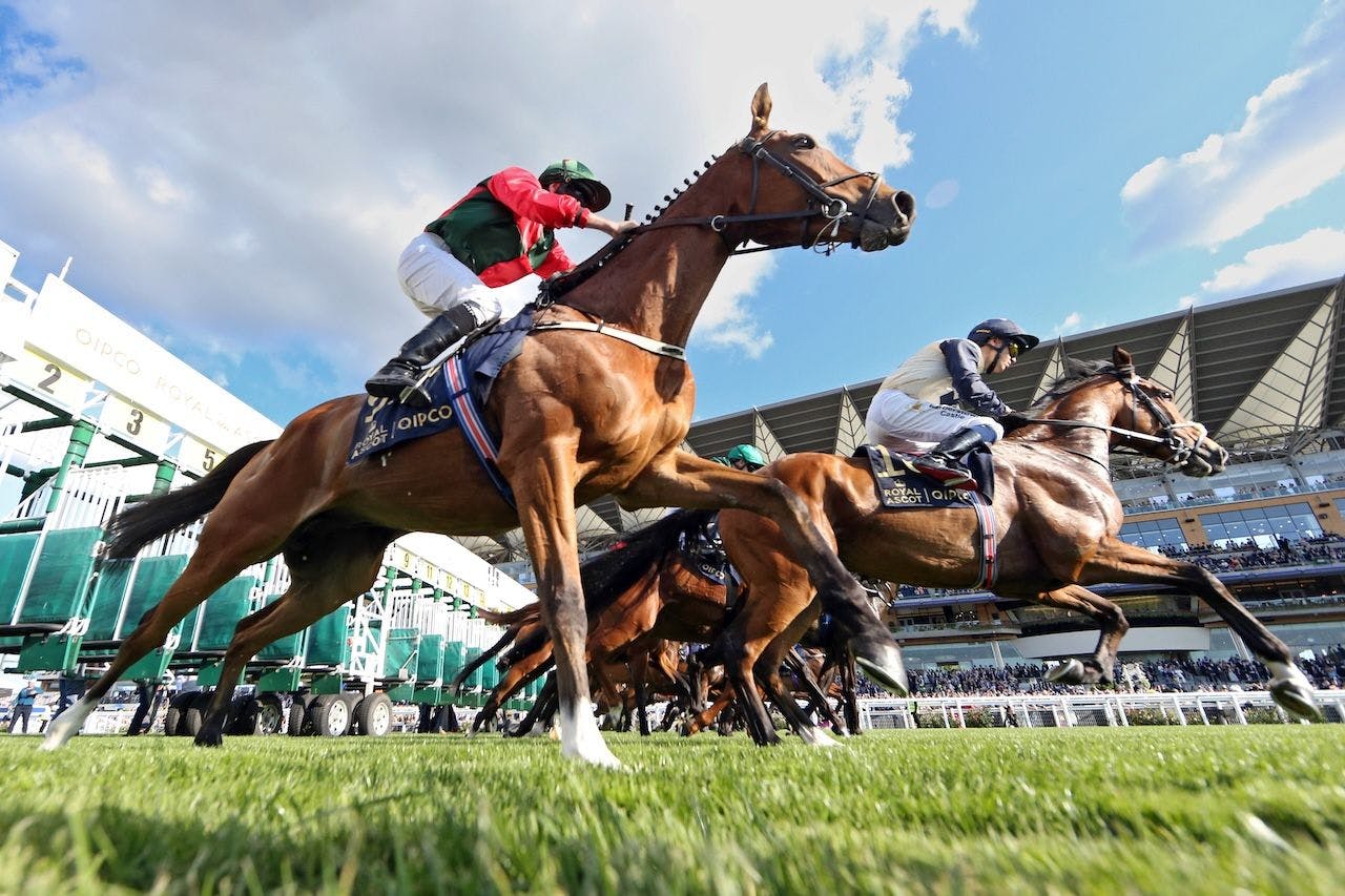 2025 Royal Ascot Scenic from day one of racing. 