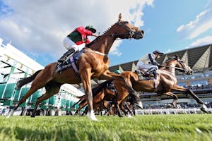 2025 Royal Ascot Scenic from day one of racing. 