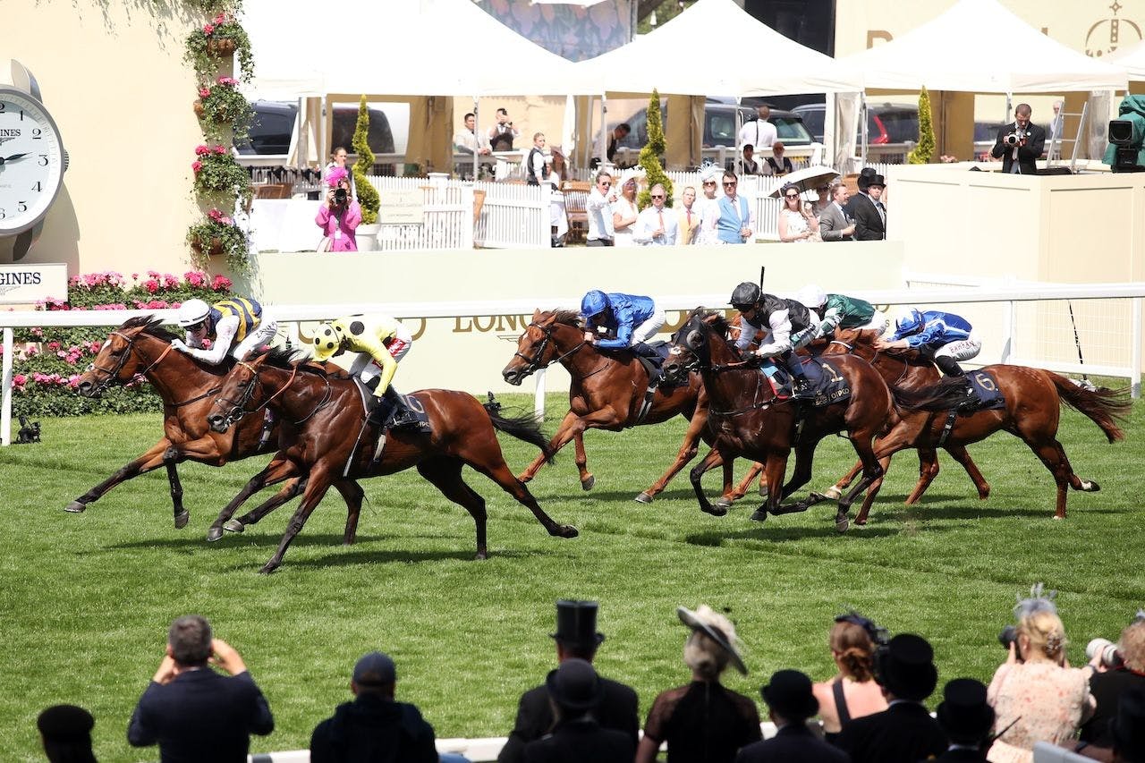 2025 Royal Ascot Scenic from day one of racing. 