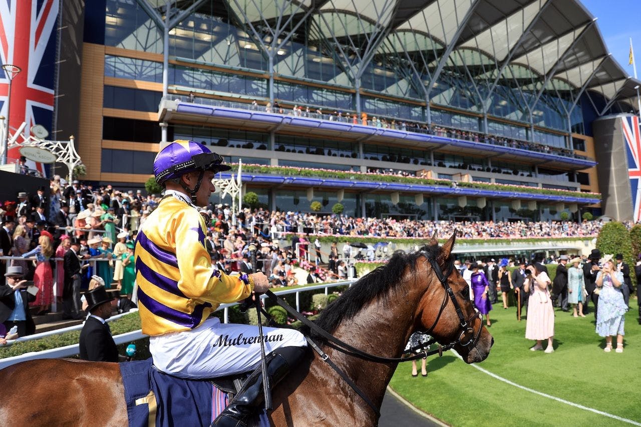 2025 Royal Ascot Scenic from day one of racing. 