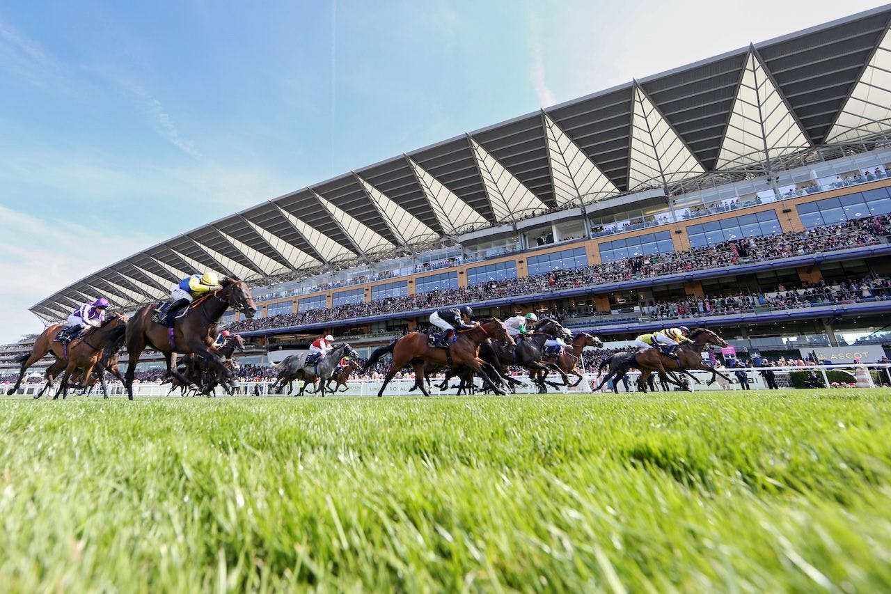2025 Royal Ascot Scenic from day one of racing. 