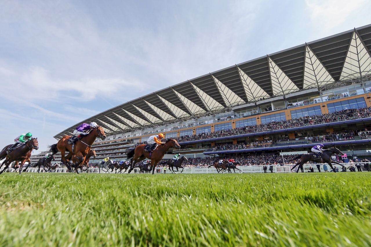 2025 Royal Ascot Scenic from day one of racing. 