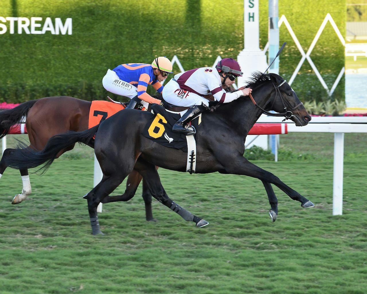 Royal Majesty (Photo by Coglianese Photos)