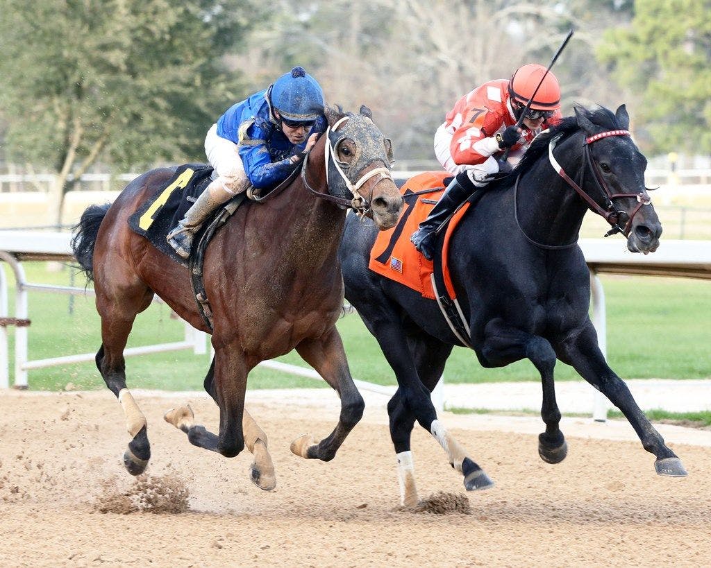 Undertheradar Derby contenders TwinSpires