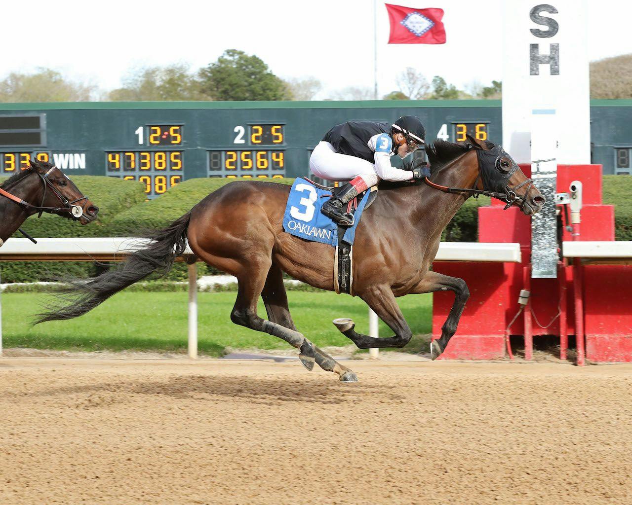 Shotgun Hottie wins at Oaklawn Park