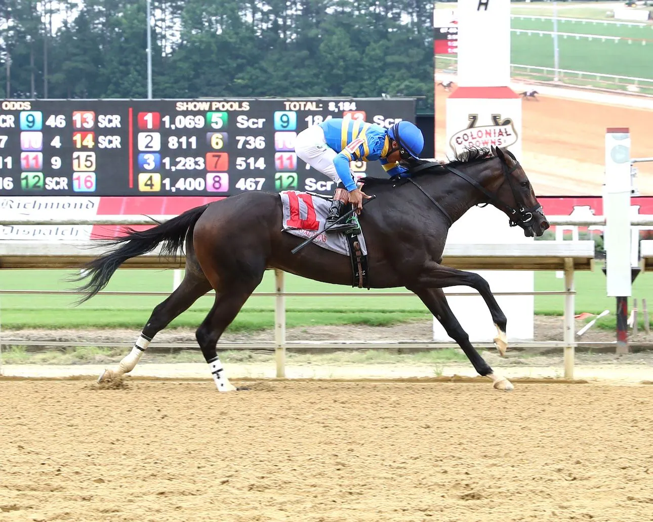 Slewperstitus wins at Colonial Downs. 