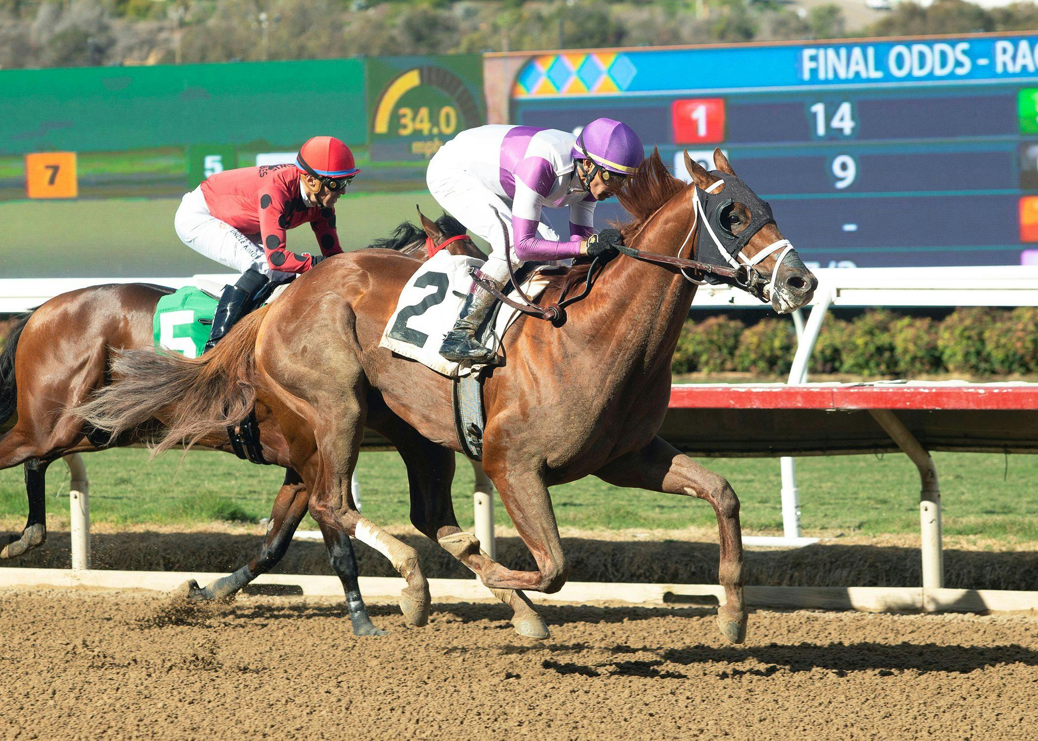 Smoovin Saturday winning his debut at Del Mar