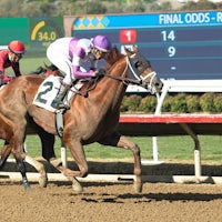 Smoovin Saturday winning his debut at Del Mar