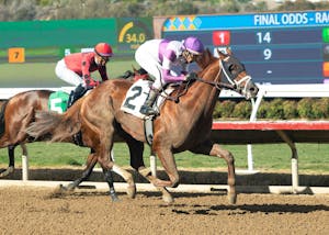 Smoovin Saturday winning his debut at Del Mar