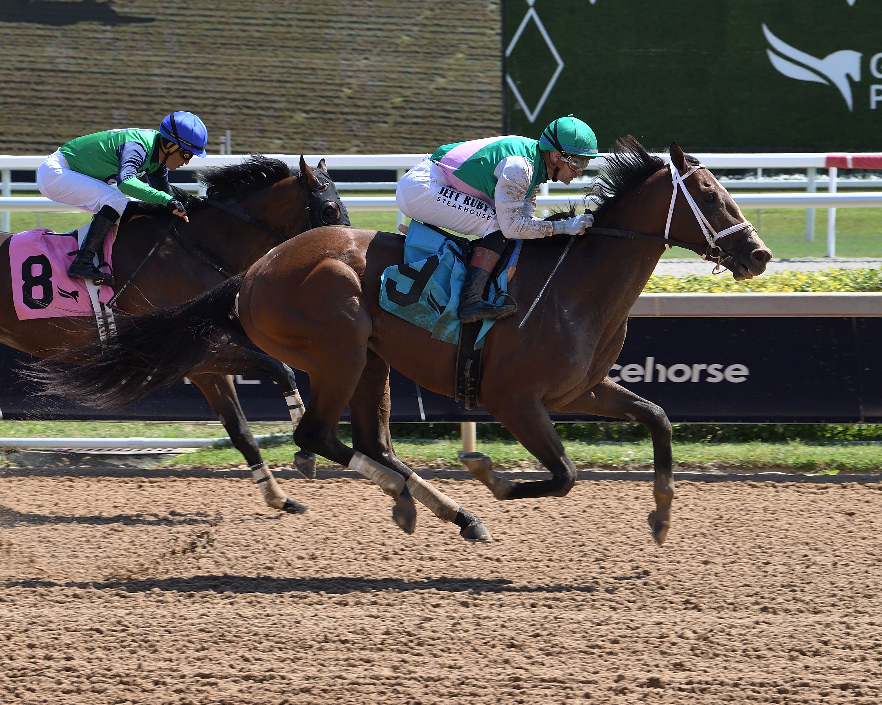 Sovereign Law breaking his maiden at Gulfstream Park