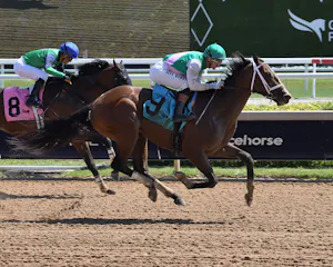 Sovereign Law breaking his maiden at Gulfstream Park
