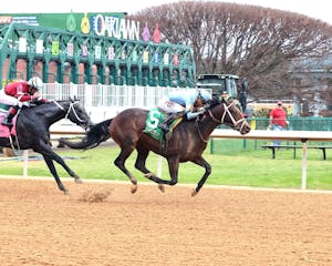 Spirit of Royal wins at Oaklawn Park.