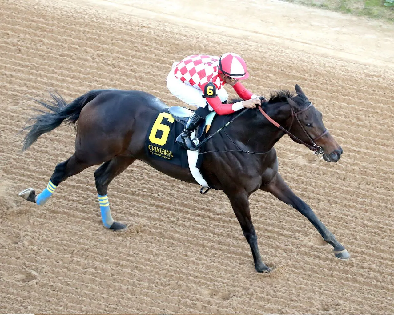 Standoutsensation wins the Pippin Stakes at Oaklawn Park.