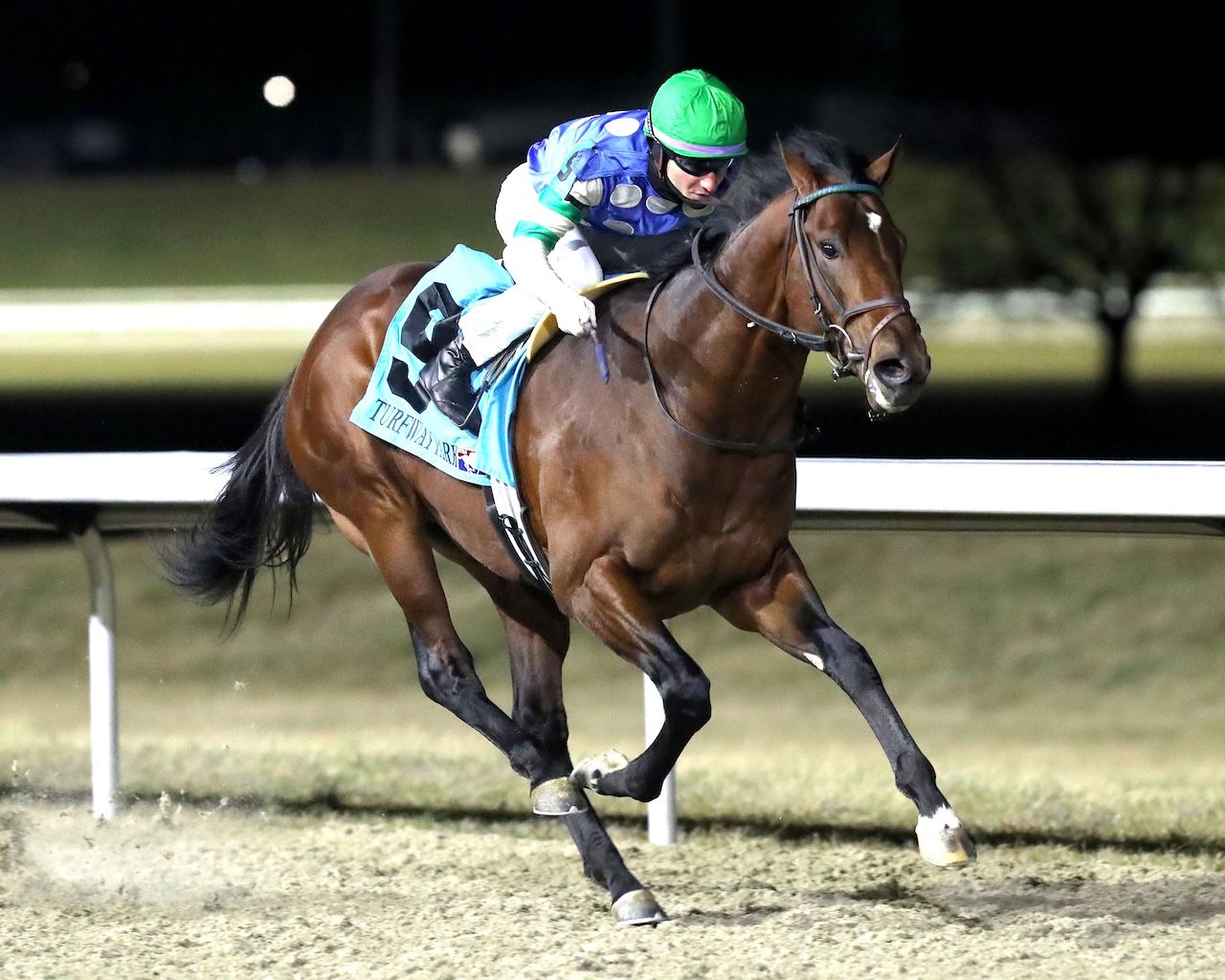 Street Beast wins the Leonautus Stakes at Turfway Park.
