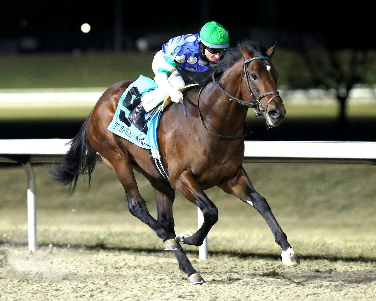 Street Beast wins the Leonautus Stakes at Turfway Park.