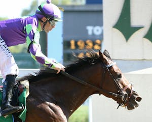 Stronghold breaking his maiden at Churchill Downs (Photo by Coady Photography)