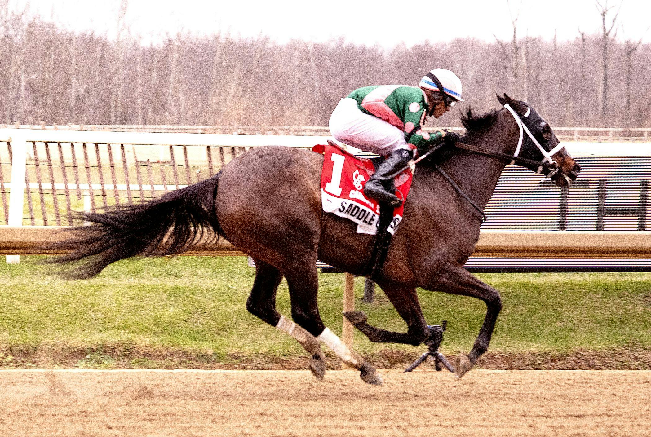 Saddle Up Jessie wins the 2023 Carousel S. (Photo by Jim McCue/MJC)