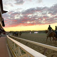 Saratoga scenic on Travers Stakes Day.