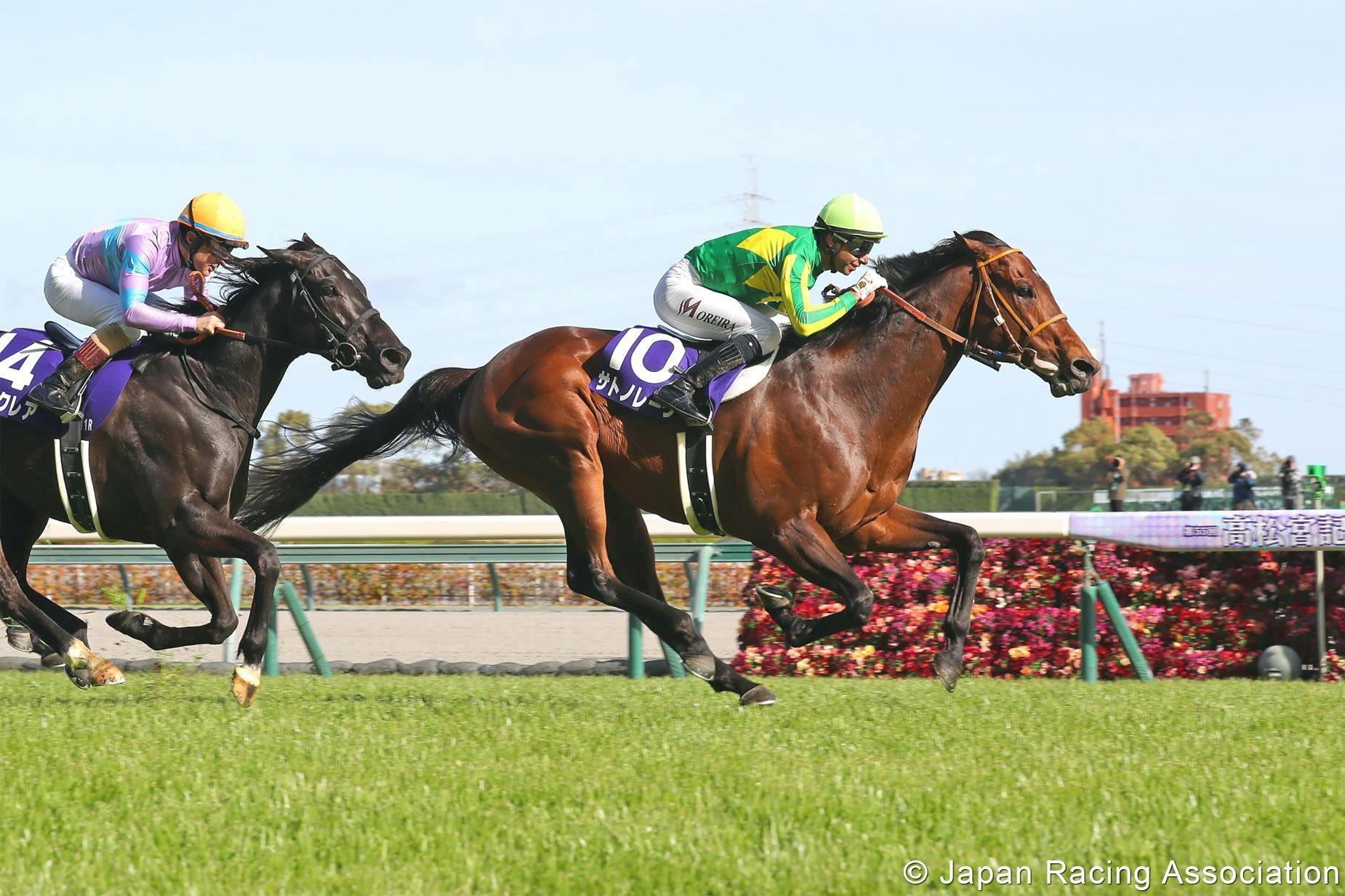 Satono Reve wins the Takamatsunomiya Kinen at Chukyo