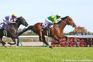 Satono Reve wins the Takamatsunomiya Kinen at Chukyo