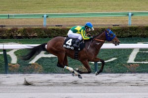 Satono Voyage wins the Cattleya S. at Tokyo