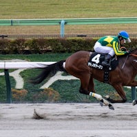 Satono Voyage wins the Cattleya S. at Tokyo