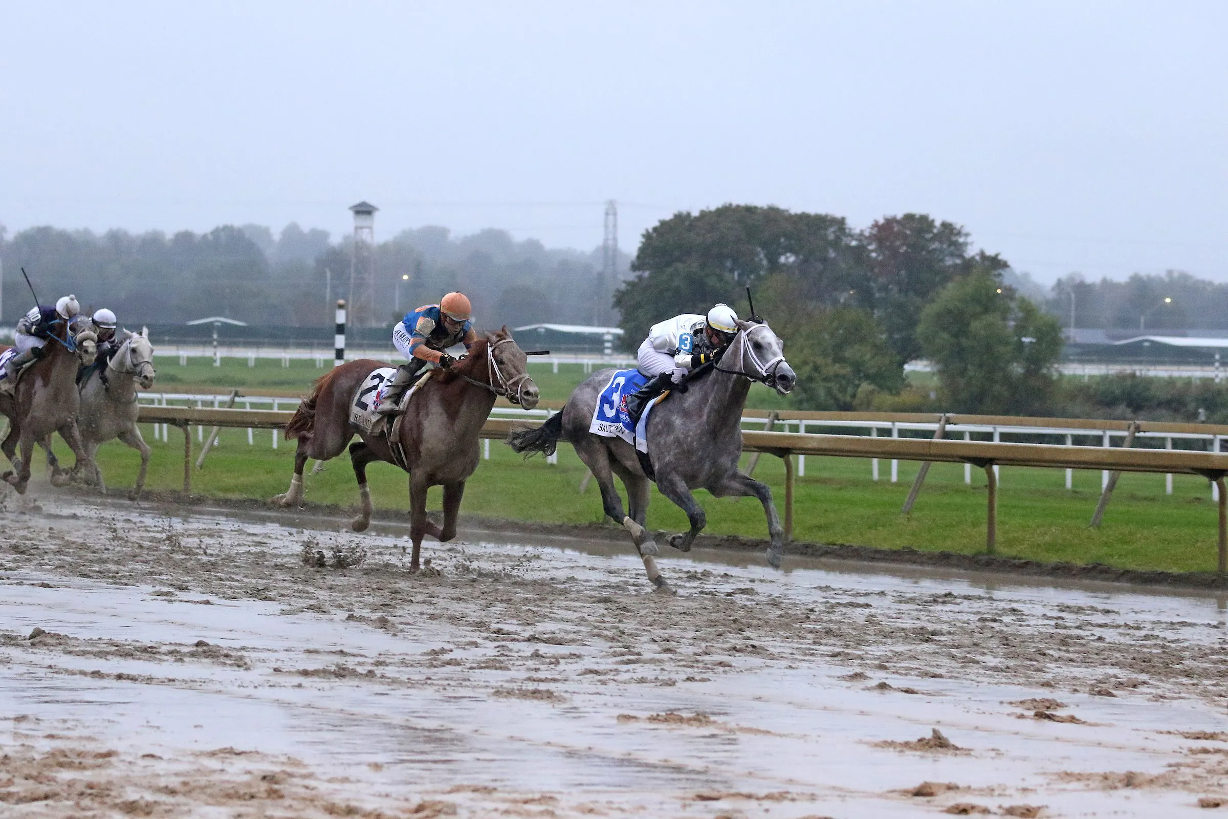 Racing Roundtable: Risen Star, Saudi Cup, and Pegasus World Cup Day ...