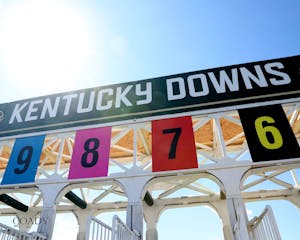 Kentucky Downs starting gate. 