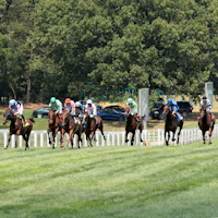 Scenic view of Kentucky Downs (Photo by Coady Media)