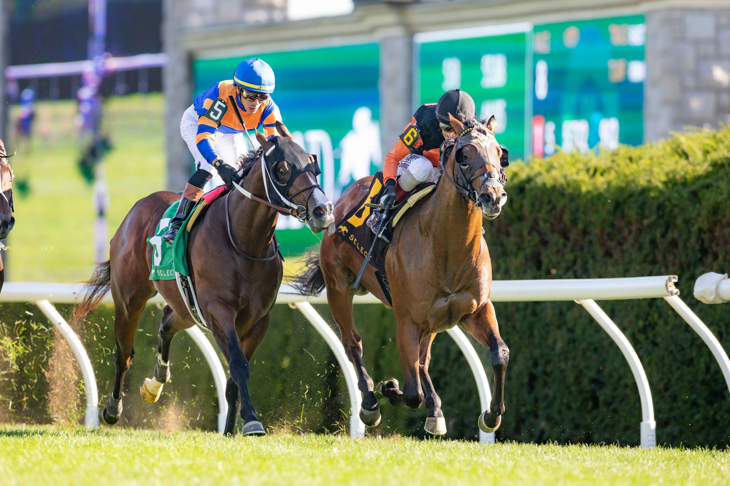 Schwarzenegger winning the Indian Summer S. at Keeneland
