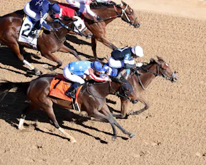 Search Party wins the Martha Washington Stakes at Oaklawn Park.