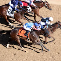 Search Party wins the Martha Washington Stakes at Oaklawn Park.