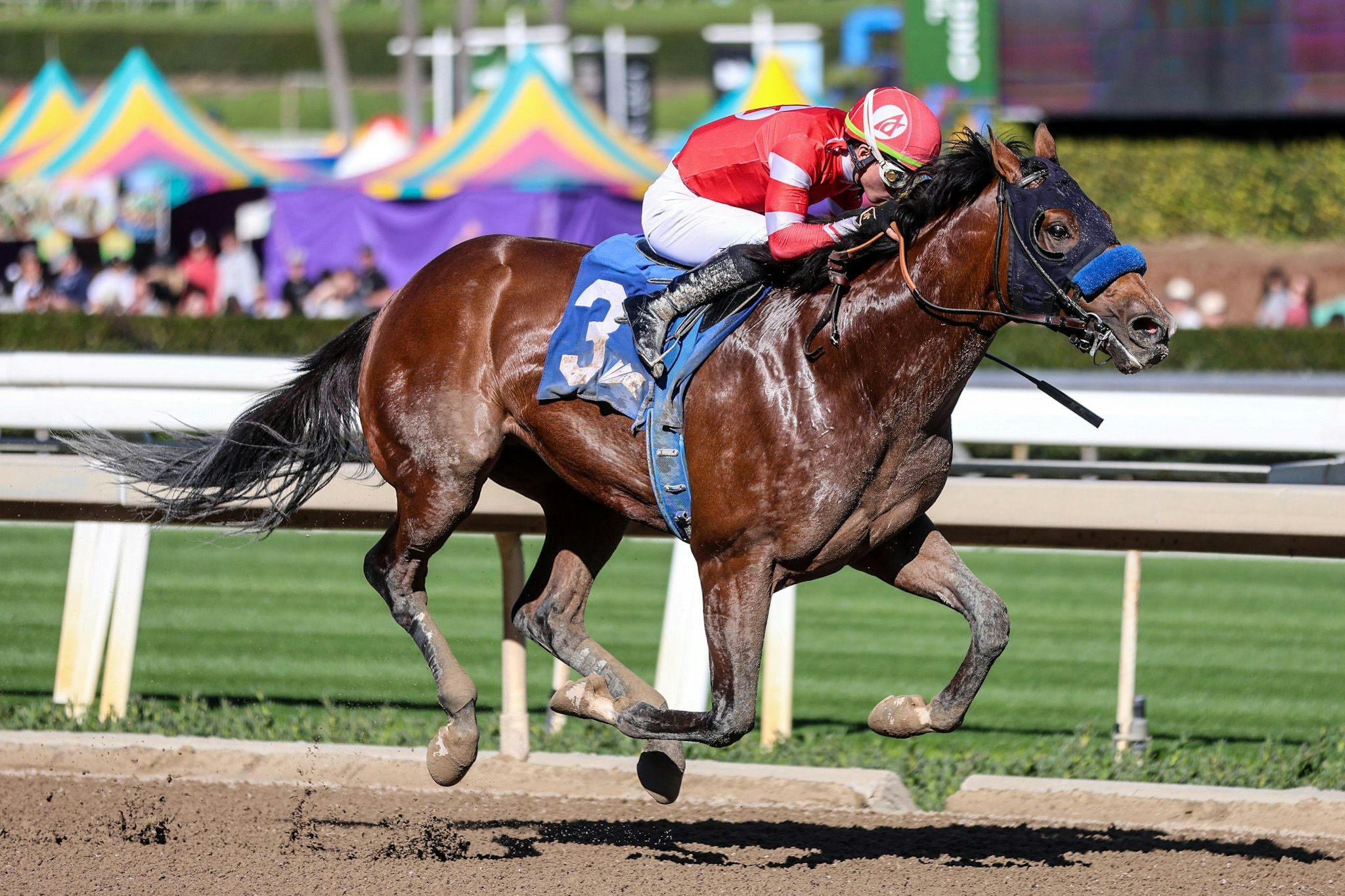 Secured Freedom broke his maiden on opening day at Santa Anita