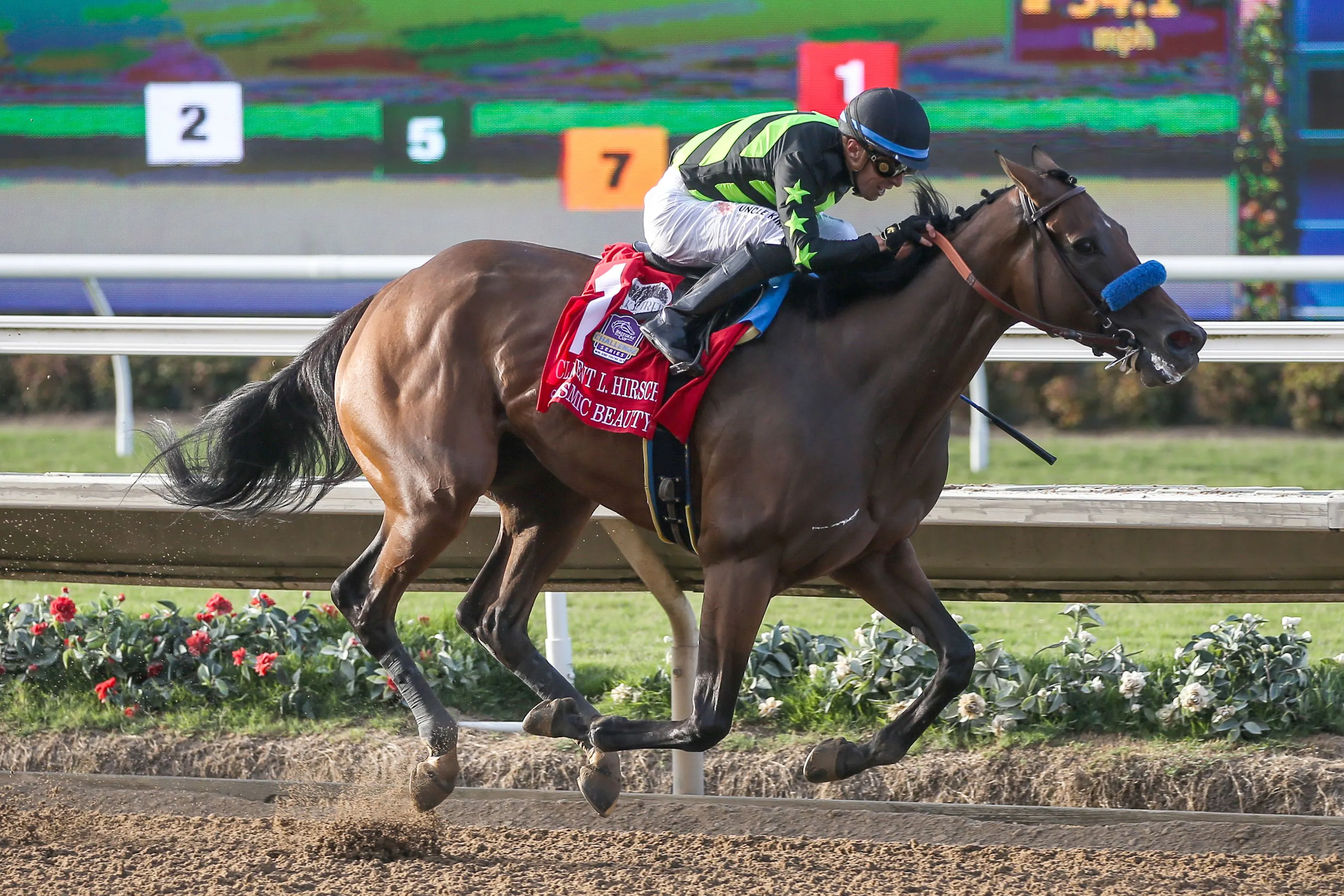 Seismic Beauty wired the Clement L. Hirsch at Del Mar