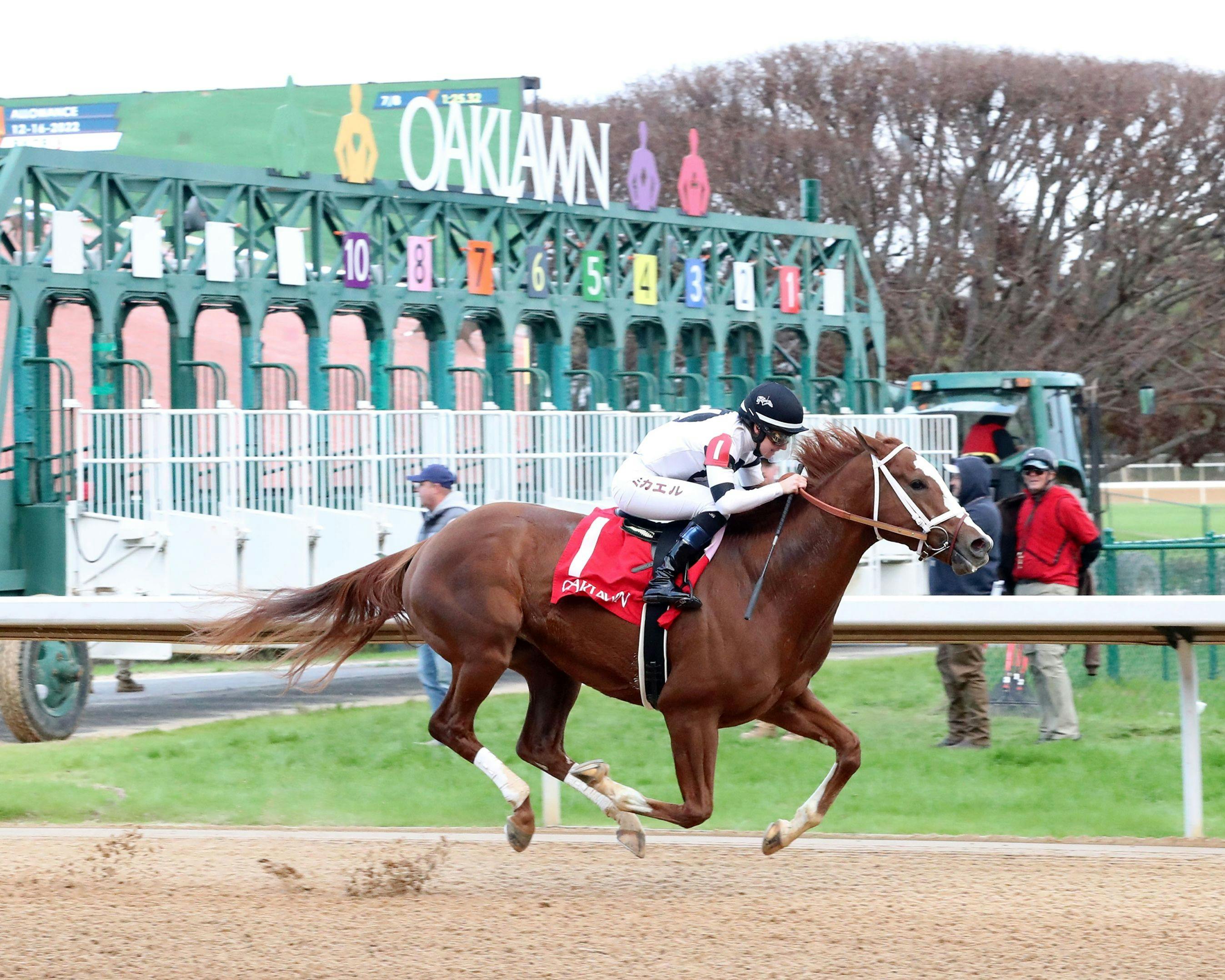 Seize the Night (Photo by Coady Media/Oaklawn Park)