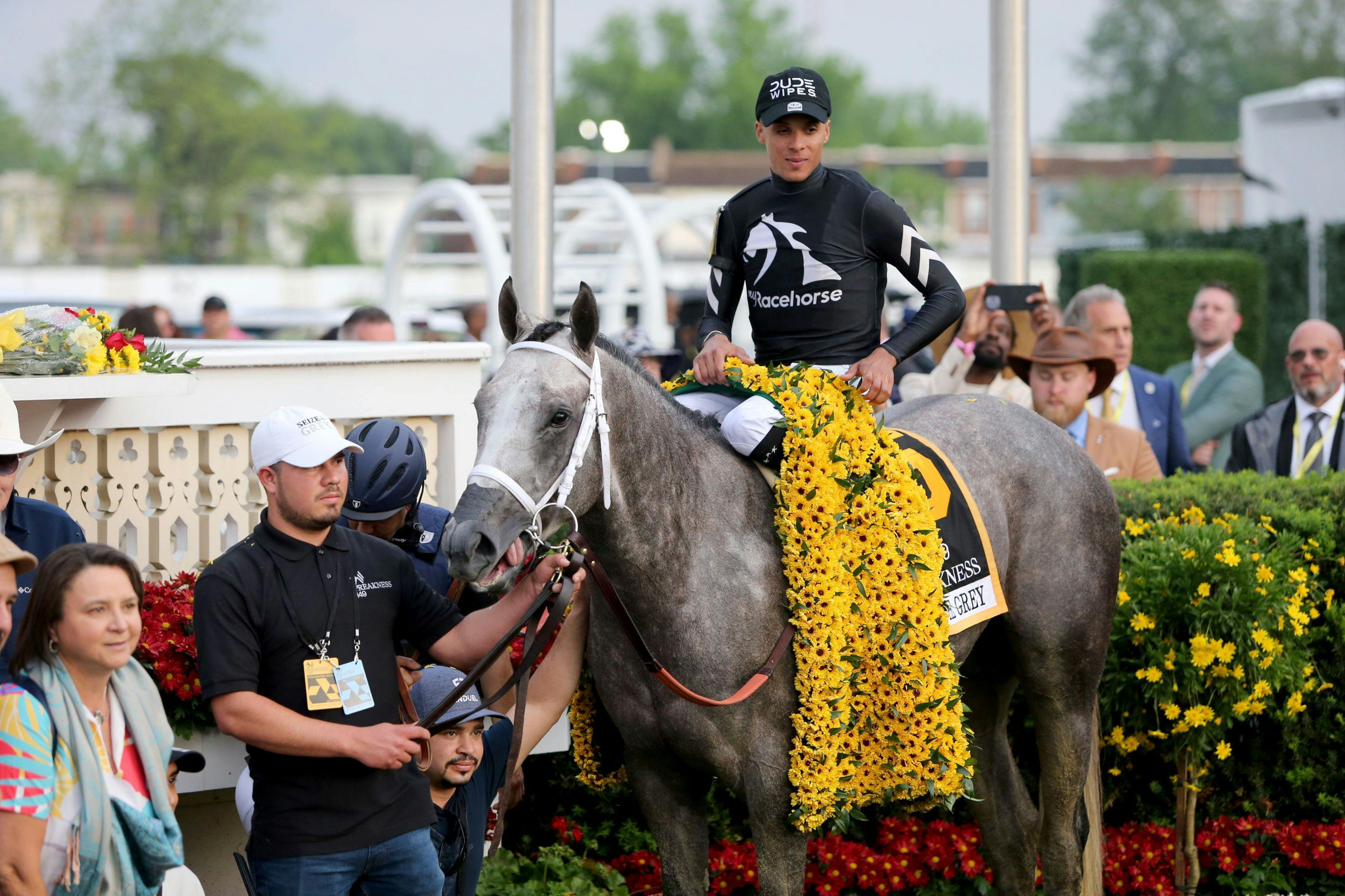 Seize the Grey (Photo by Horsephotos.com)