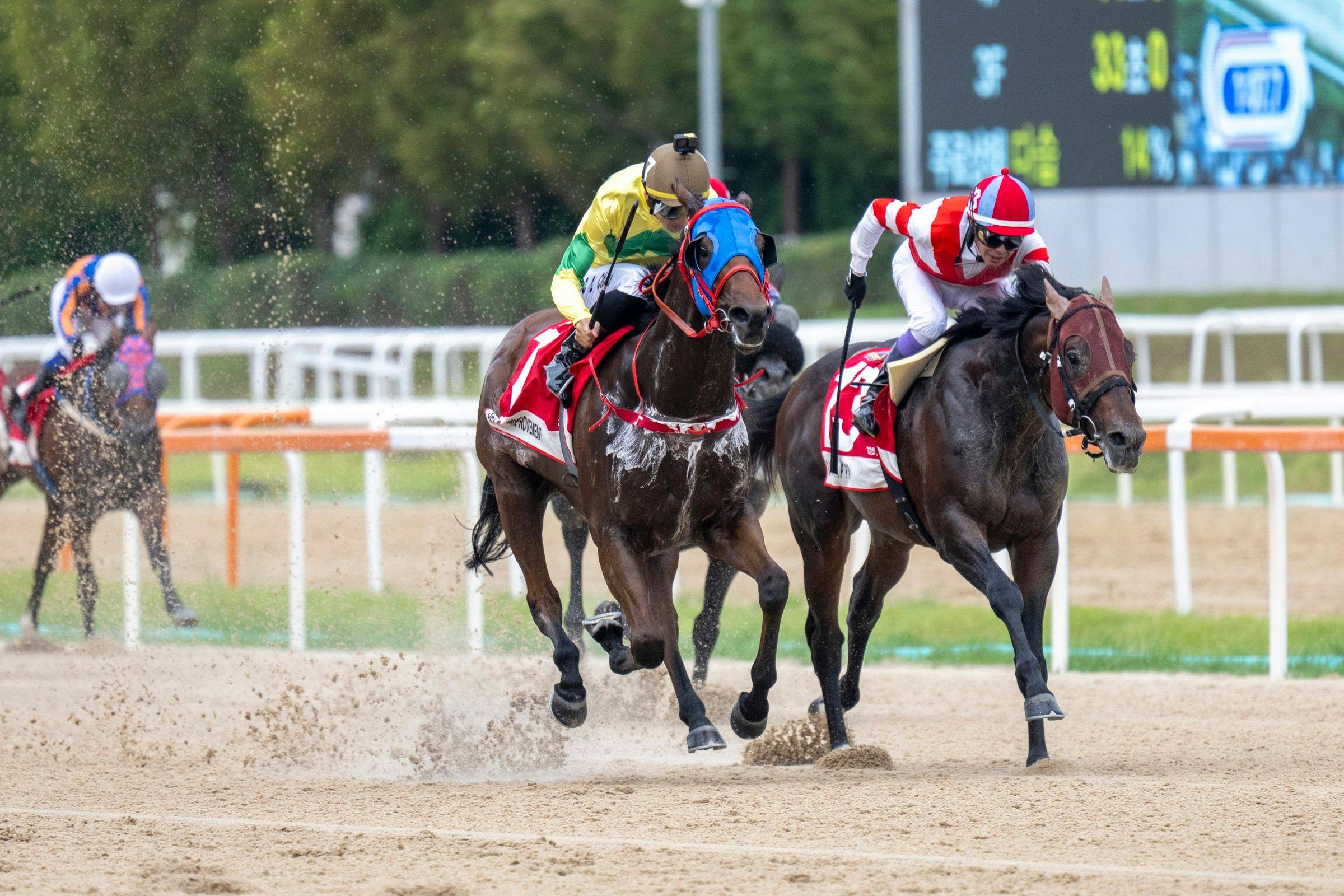 Self Improvement outduels heavy favorite Chikappa in the Korea Sprint (G3)