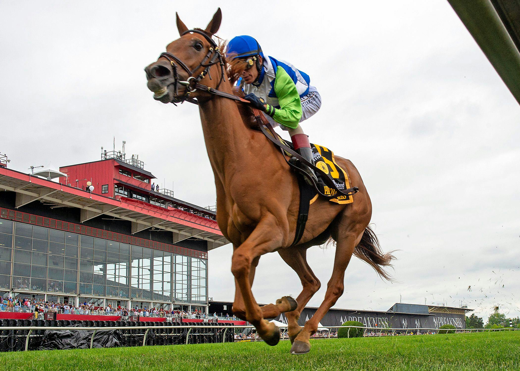 She Feels Pretty (Photo by Maryland Jockey Club/Jerry Dzierwinski)