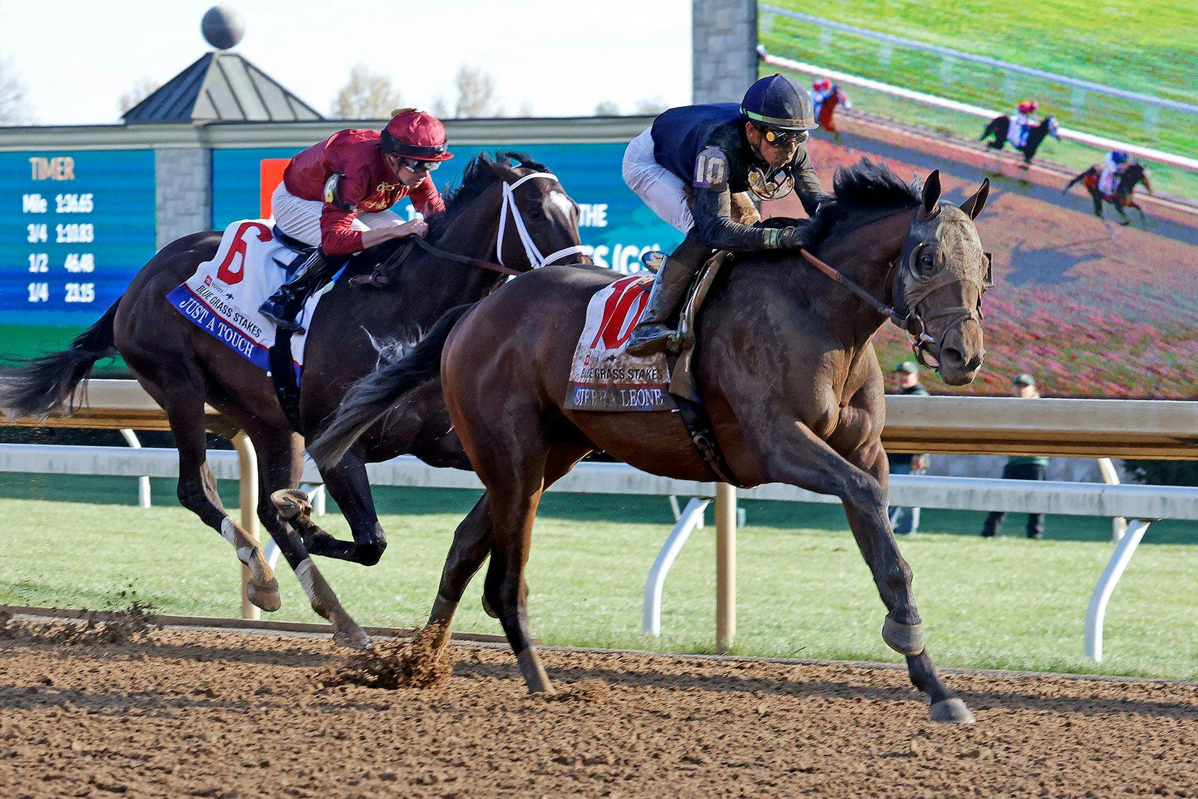 2024 Kentucky Derby Horses and Top Contenders TwinSpires