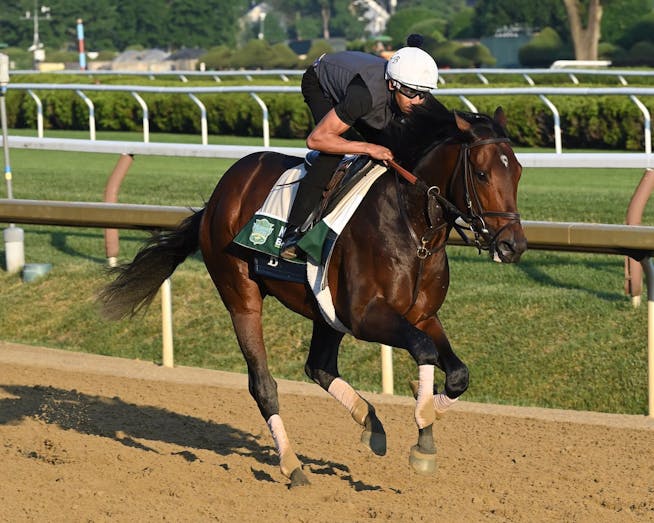 Grade 2 Jim Dandy S. trends and field analysis | TwinSpires