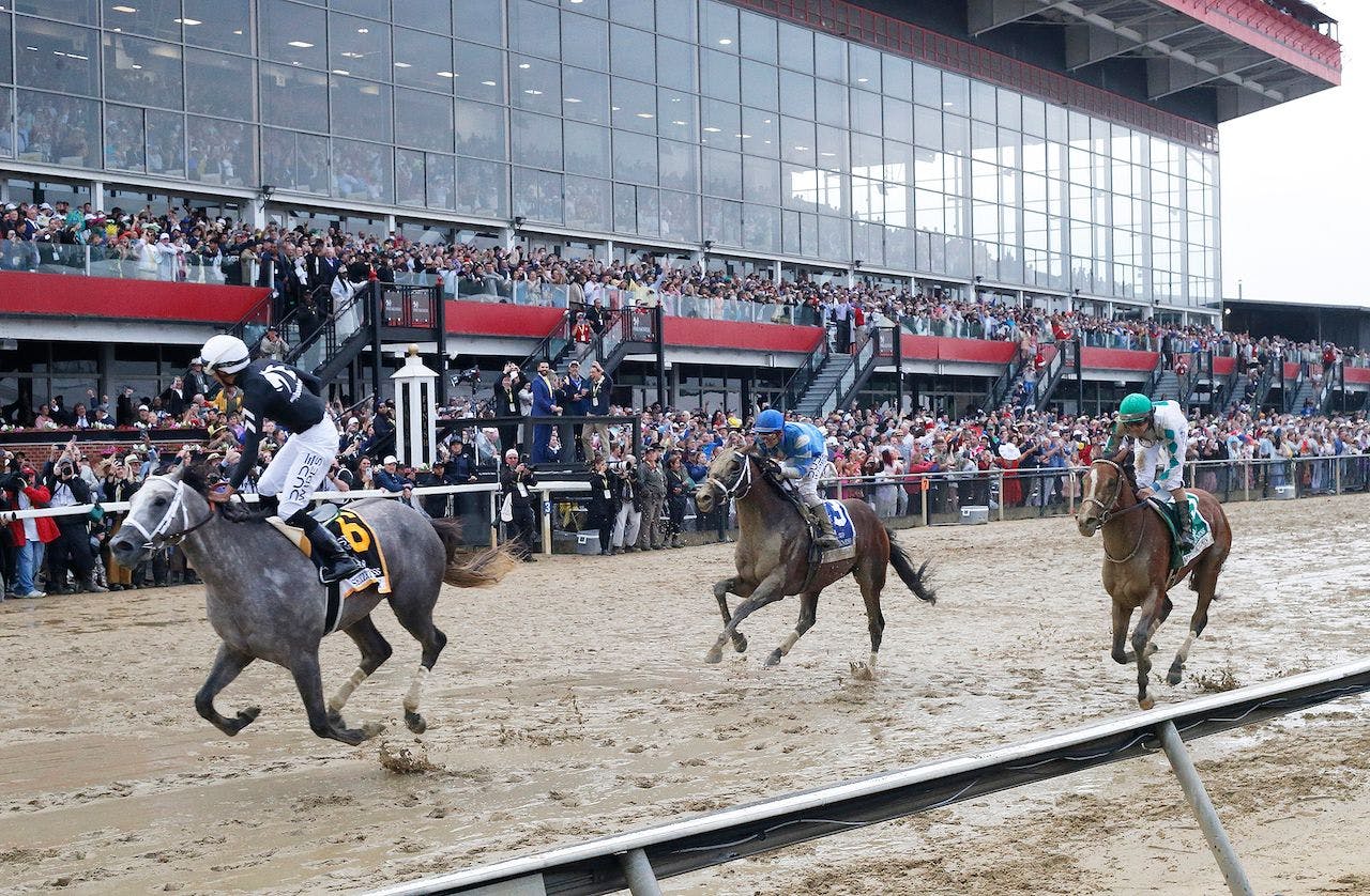 Seize the Grey wins the 2024 Preakness S. at Pimlico (Photo by Horsephotos.com)