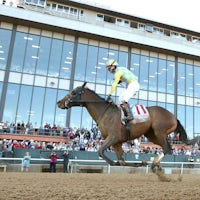 Silent Tactic wins the Southwest Stakes at Oaklawn Park.