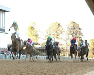 Silent Tactic wins the Southwest Stakes at Oaklawn Park.