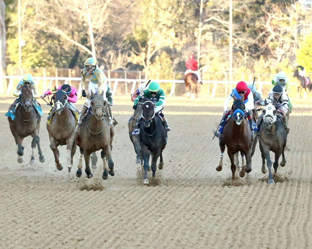 Silent Tactic wins the Southwest Stakes at Oaklawn Park.