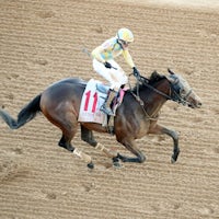 Silent Tactic wins the Southwest Stakes at Oaklawn Park.