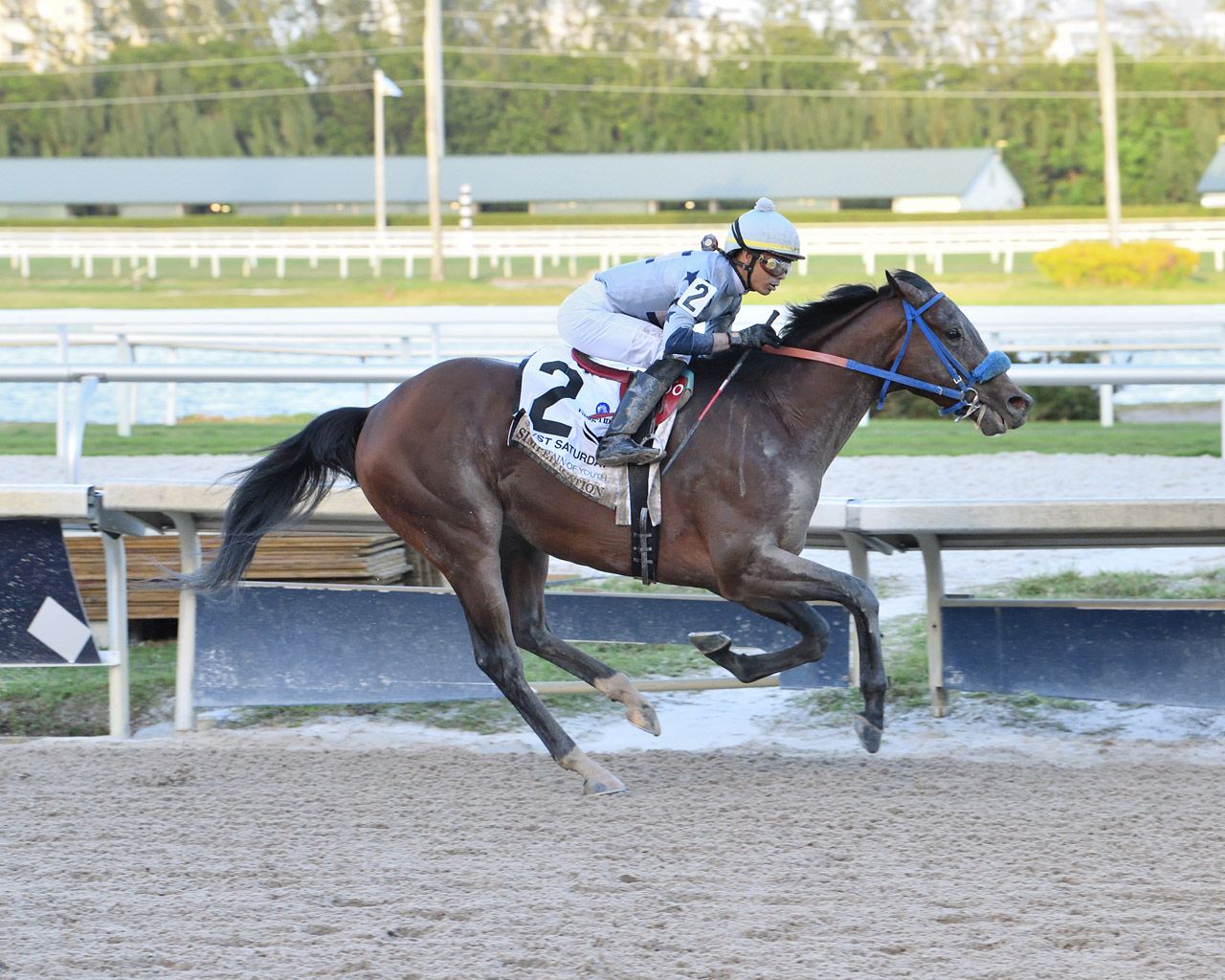 Kentucky Derby Pedigree Profile: Simplification | TwinSpires