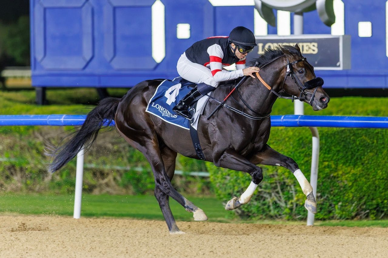 Six Speed wins the UAE 2000 Guineas (G3) at Meydan in Dubai