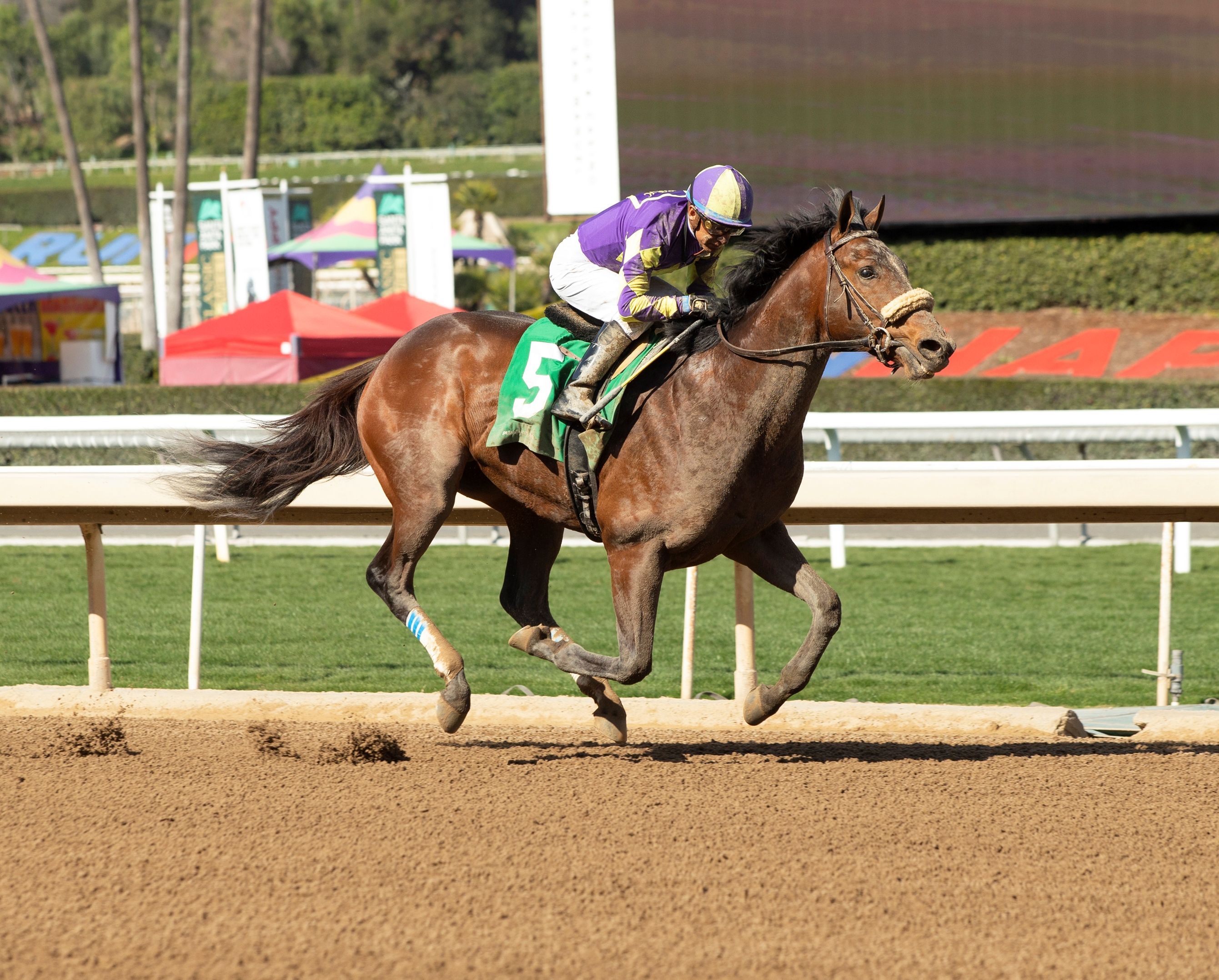 Kentucky Derby Pedigree Profile: Skinner | TwinSpires