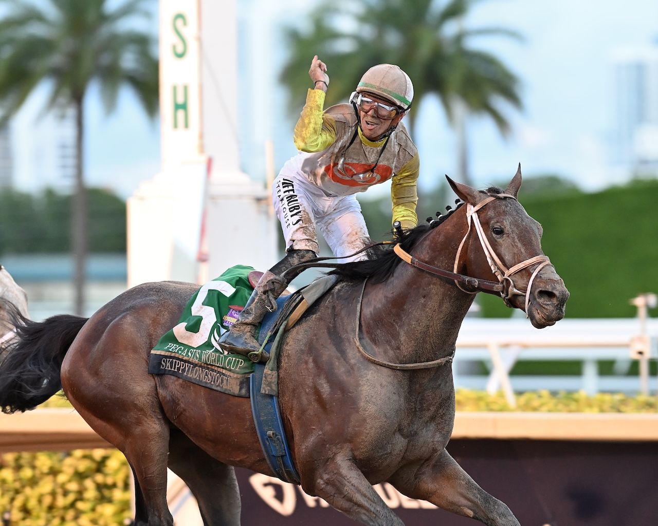 Skippylongstocking wins the Pegasus World Cup at Gulfstream Park.